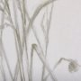 102397-L - Growing Along The River II by Mercana Studio a Hand Embellished Textured Canvas