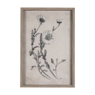 Chamomile Drawing I by Mercana Studio Hand Embellished Textured Framed Art Print Matted under Glass