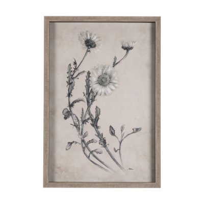 14701 - Chamomile Drawing I by Mercana Studio Hand Embellished Textured Framed Art Print Matted under Glass