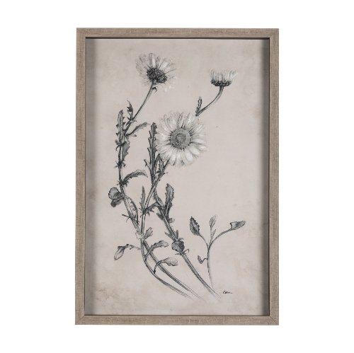 14701 - Chamomile Drawing I by Mercana Studio Hand Embellished Textured Framed Art Print Matted under Glass