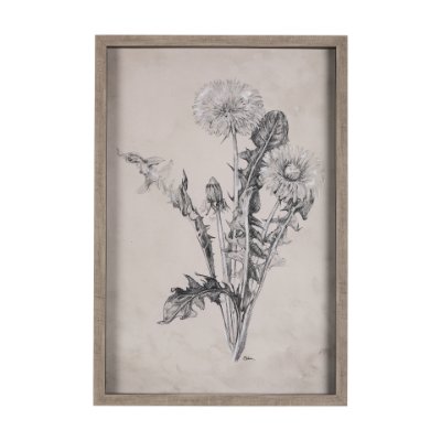14702 - Dandelion Drawing II by Mercana Studio Hand Embellished Textured Framed Art Print Matted under Glass