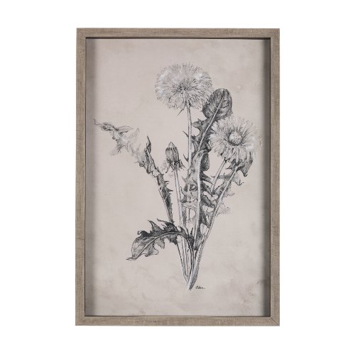 14702 - Dandelion Drawing II by Mercana Studio Hand Embellished Textured Framed Art Print Matted under Glass