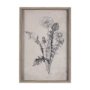 14702 - Dandelion Drawing II by Mercana Studio Hand Embellished Textured Framed Art Print Matted under Glass