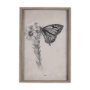 14703 - Wild Aster Monarch Butterfly III Mercana Studio Hand Embellished Framed Art Print Matted under Glass