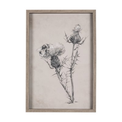14704 - Thistle With Bumblebee Drawing IV Mercana Studio Hand Embellished Framed Art Print Matted under Glas