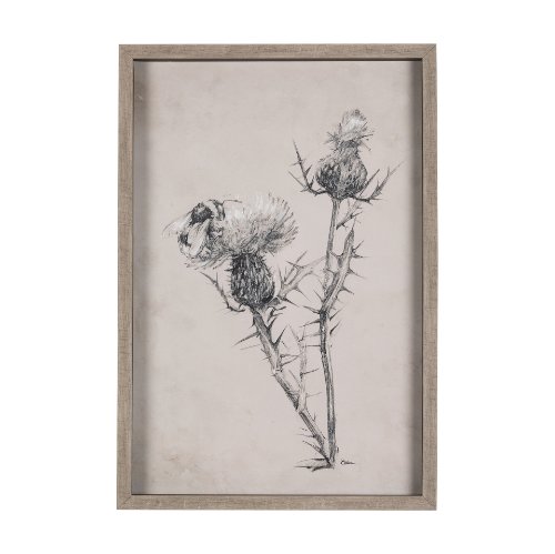 14704 - Thistle With Bumblebee Drawing IV Mercana Studio Hand Embellished Framed Art Print Matted under Glas