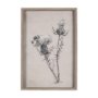 14704 - Thistle With Bumblebee Drawing IV Mercana Studio Hand Embellished Framed Art Print Matted under Glas