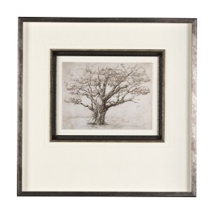 Secret Life of Tree by Mercana Studio Hand Embellished Textured Framed Art Print Matted under Glass