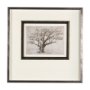 14717 - Secret Life of Tree by Mercana Studio Hand Embellished Textured Framed Art Print Matted under Glass