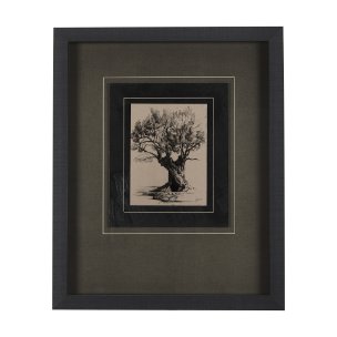 Tree Drawing I by Mercana Studio a Hand Embellished Textured Framed Art Print Matted under Glass
