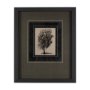 14719 - Tree Drawing II by Mercana Studio a Hand Embellished Textured Framed Art Print Matted under Glass