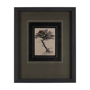 Tree Drawing III by Mercana Studio a Hand Embellished Textured Framed Art Print Matted under Glass
