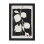 14736 - Lemon Branch Silhouette by Mercana Studio a Hand Embellished Textured Framed Art Print