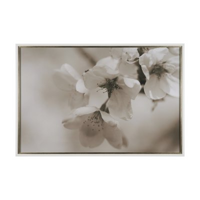 14766 - Soft Petals II by Nancy Crowell a Hand Embellished Textured Framed Photo Art Print Matted under Glas