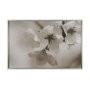 14766 - Soft Petals II by Nancy Crowell a Hand Embellished Textured Framed Photo Art Print Matted under Glas