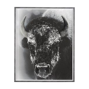 Snow Mask by Mercana Studio a Hand Embellished Textured Framed Photo Art Print Matted under Glass
