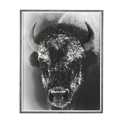 14776 - Snow Mask by Mercana Studio a Hand Embellished Textured Framed Photo Art Print Matted under Glass