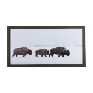 Frozen Trek by Mercana Studio a Hand Embellished Textured Framed Photo Art Print Matted under Glass