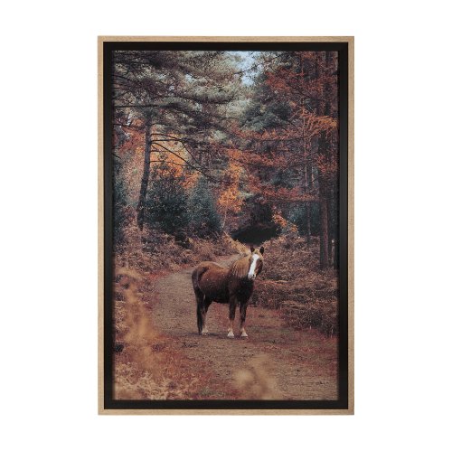 14781 - Forest Crossing by Mercana Studio a Hand Embellished Textured Framed Photo Art Print Matted under Gl
