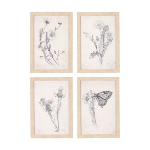 Chamomile Drawing I by Mercana Studio a Hand Embellished Textured Framed Art Print