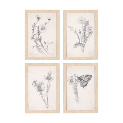 14784 - Chamomile Drawing I by Mercana Studio a Hand Embellished Textured Framed Art Print