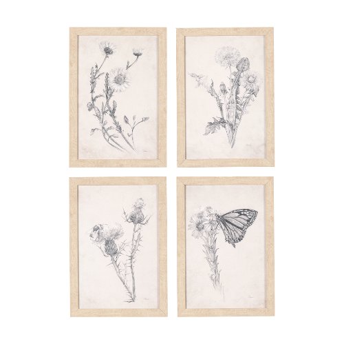 14784 - Chamomile Drawing I by Mercana Studio a Hand Embellished Textured Framed Art Print