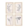 14784 - Chamomile Drawing I by Mercana Studio a Hand Embellished Textured Framed Art Print