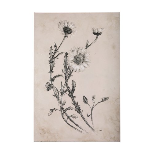 102451-L - Chamomile Drawing I by Mercana Studio a Hand Embellished Textured Canvas