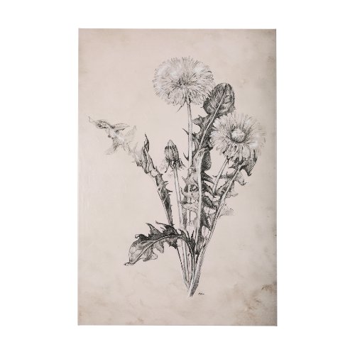 102452-L - Dandelion Drawing II by Mercana Studio a Hand Embellished Textured Canvas