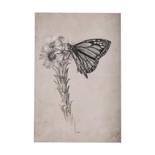 Wild Aster With  Monarch Butterfly Drawing III by Mercana Studio a Hand Embellished Textured Canvas