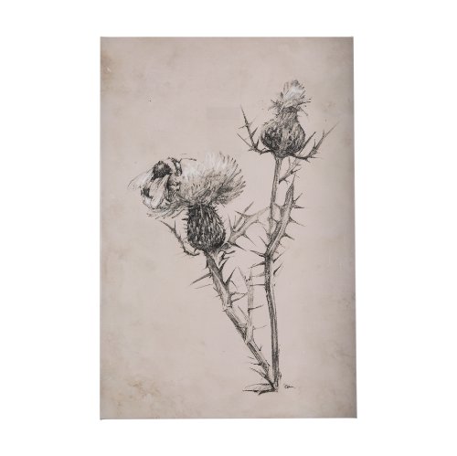102454-S - Thistle With Bumblebee  Drawing IV by Mercana Studio a Hand Embellished Textured Canvas