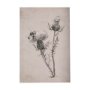 102454-S - Thistle With Bumblebee  Drawing IV by Mercana Studio a Hand Embellished Textured Canvas