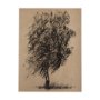 102502-S - Tree Drawing II by Mercana Studio a Hand Embellished Textured Canvas