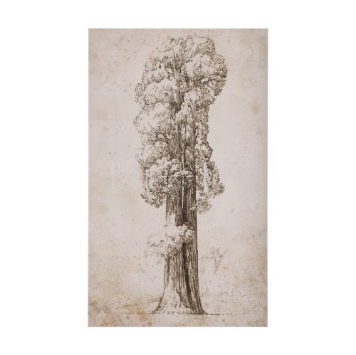 102505-S - Westcoast Tree Drawing I by Mercana Studio a Hand Embellished Textured Canvas