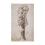 102505-S - Westcoast Tree Drawing I by Mercana Studio a Hand Embellished Textured Canvas