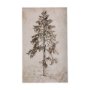 102506-S - Westcoast Tree Drawing II by Mercana Studio a Hand Embellished Textured Canvas