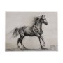 102457-L - Old West Collection V ( Horse Sketch) by Mercana Studio a Hand Embellished Textured Canvas