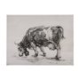 102456-L - Old West Collection IV (Cow Sketch) by Mercana Studio a Hand Embellished Textured Canvas