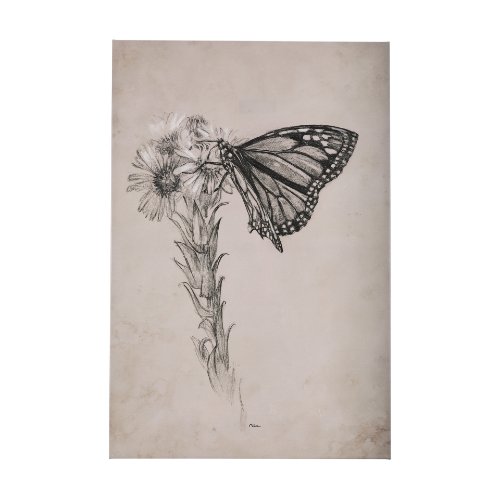 102453-L - Wild Aster With  Monarch Butterfly Drawing III by Mercana Studio a Hand Embellished Textured Canvas