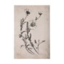 102451-S - Chamomile Drawing I by Mercana Studio a Hand Embellished Textured Canvas