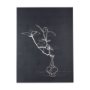 102447-S - Ikebana Dark I by Mercana Studio a Hand Embellished Textured Canvas