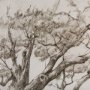 14717 - Secret Life of Tree by Mercana Studio Hand Embellished Textured Framed Art Print Matted under Glass