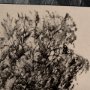 14719 - Tree Drawing II by Mercana Studio a Hand Embellished Textured Framed Art Print Matted under Glass