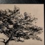 14720 - Tree Drawing III by Mercana Studio a Hand Embellished Textured Framed Art Print Matted under Glass