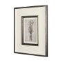 14715 - Westcoast Tree Drawing I by Mercana Studio Hand Embellished Framed Art Print Matted under Glass