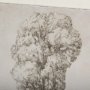 14715 - Westcoast Tree Drawing I by Mercana Studio Hand Embellished Framed Art Print Matted under Glass