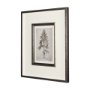 14716 - Westcoast Tree Drawing II by Mercana Studio Hand Embellished Framed Art Print Matted under Glass