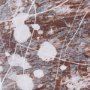 14757 - Sakura Rain I by Mercana Studio a Hand Embellished Textured Framed Art Print Matted under Glass