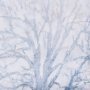 14753 - A Fresh Winter Morning I by Mercana Studio Hand Embellished Framed Art Print Matted under Glass
