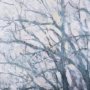 14754 - A Fresh Winter Morning II by Mercana Studio Hand Embellished Framed Art Print Matted under Glass